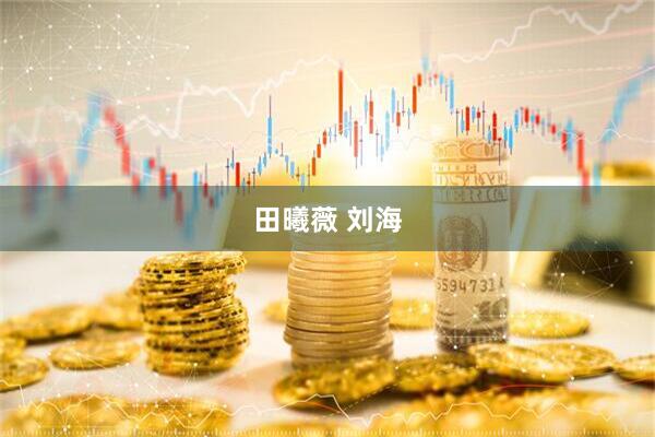 田曦薇 刘海